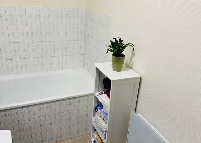 Escale Berckoise Cosy Proche Des Phoques Berck